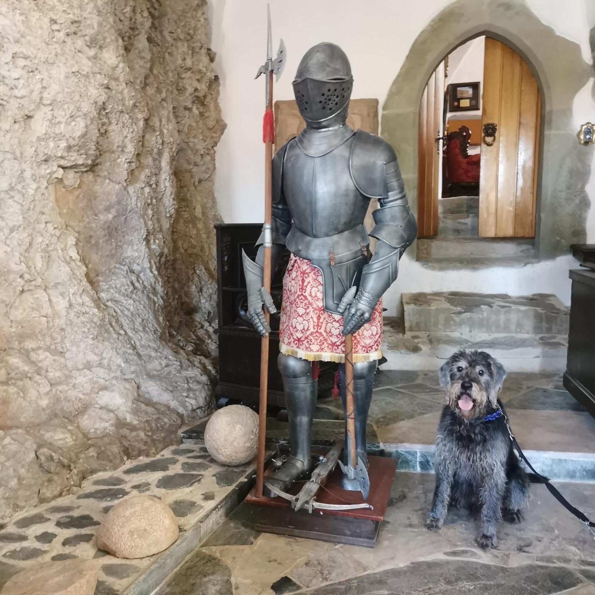 Burg Hermannstein - Monks Room Wetzlar Exterior photo